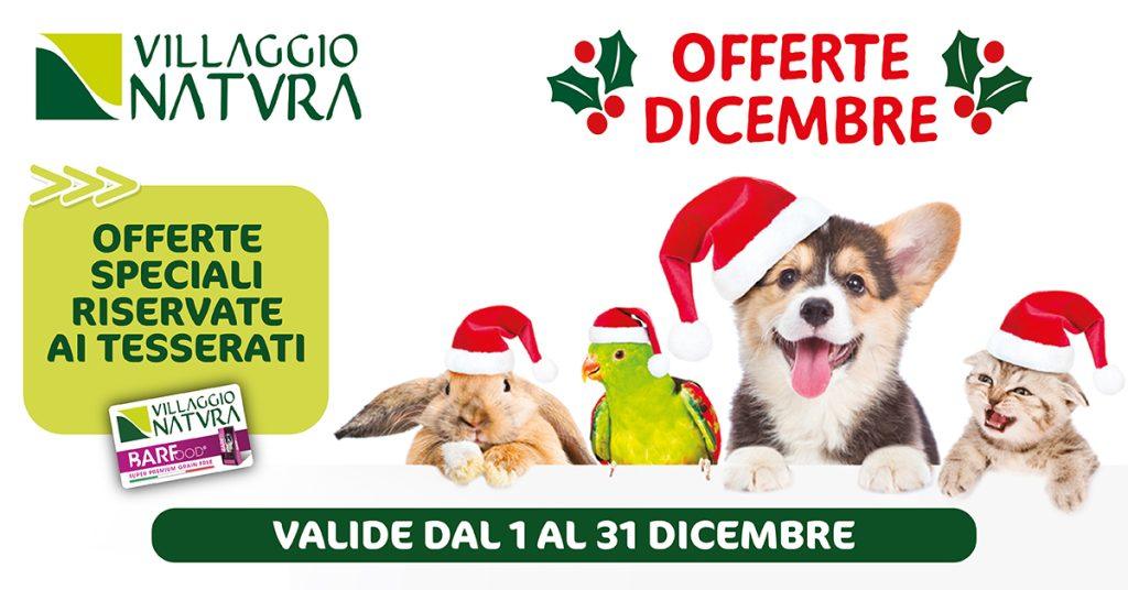 promo tesserati dicembre 2023