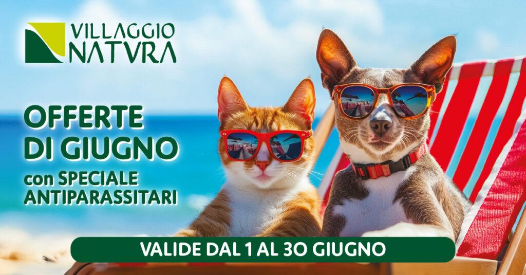Promo Giugno: Offerte per i soli tesserati