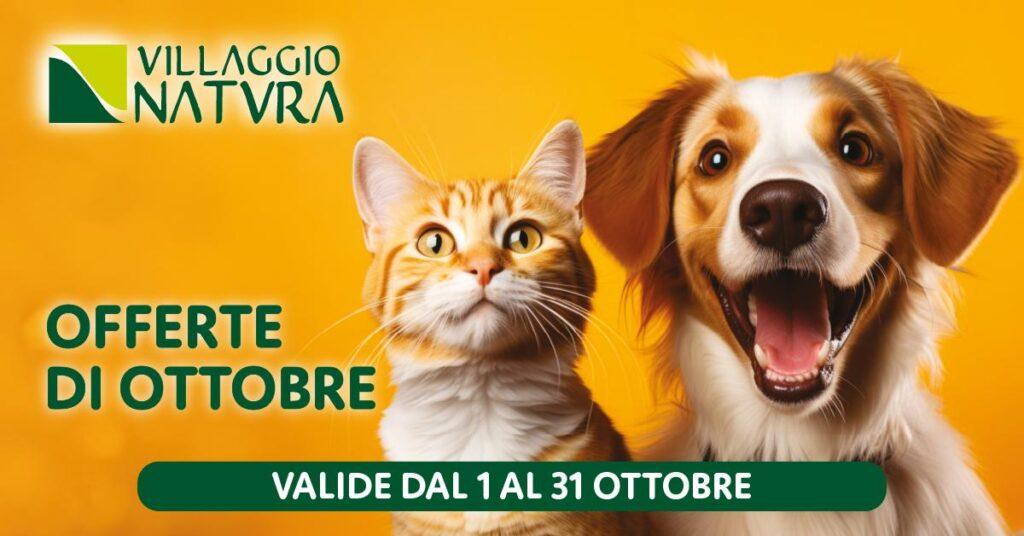 Promo Ottobre: Offerte per i soli tesserati